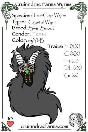 Fiesta card.jpg