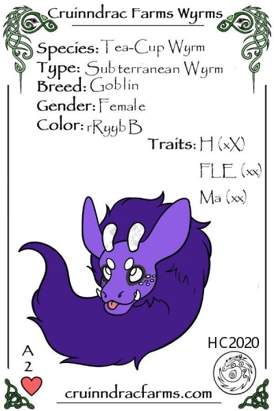 File:Kakichi card.jpg