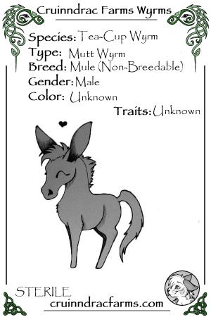 Salazar Slytherin card.jpg