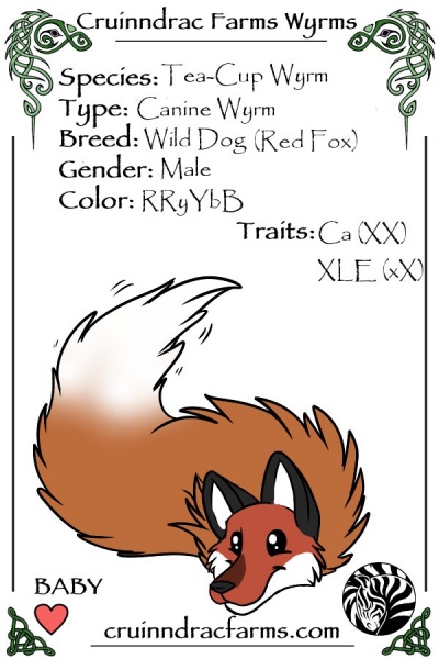 File:Copper card.jpg