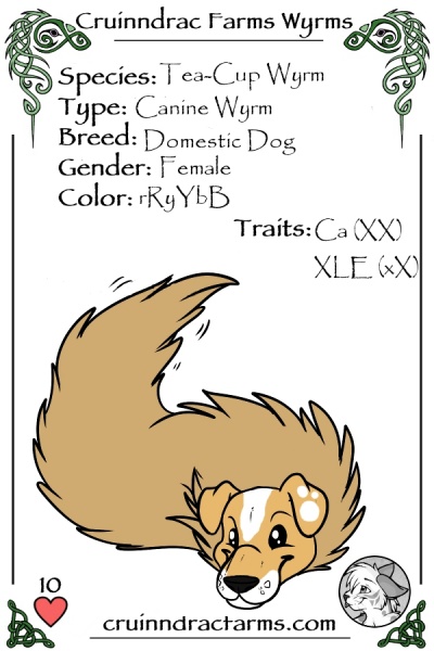 File:Scampie card.jpg