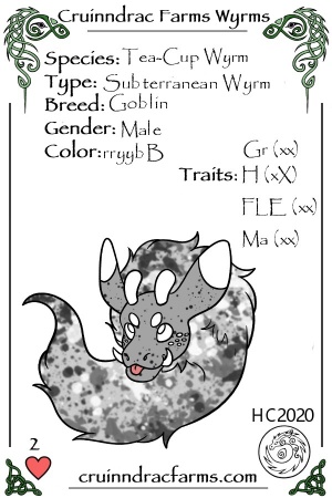 BPM (Bumper) card.jpg