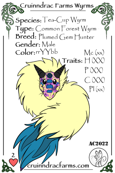 File:Piñata. card.png