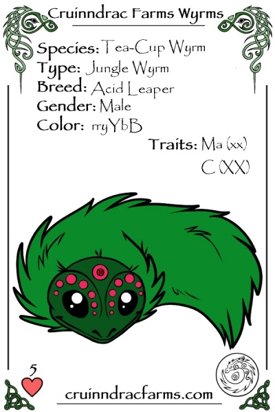 File:Cali Dryas card.jpg