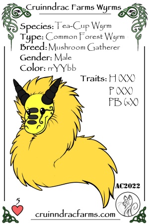 Steely card.jpg
