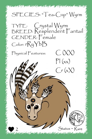 CCH's Agate card.jpg
