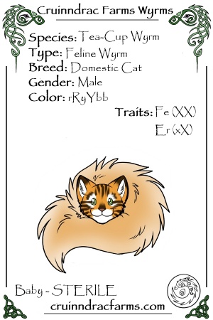 Jack o' Lantern card.jpg