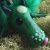 Mr. Pickles icon.jpg