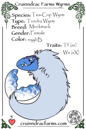 Paddy Whack card.jpg