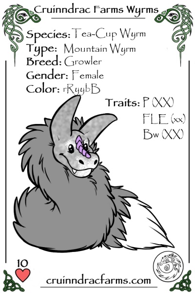 File:Quartzite card.jpg