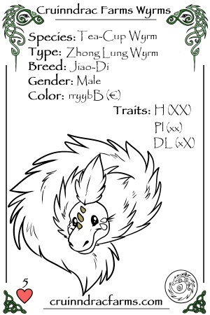 Xiaobo card.jpg
