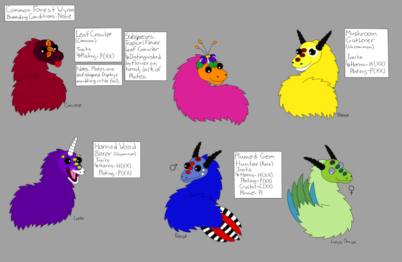 File:Common Forest Guide.png