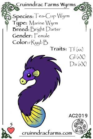 Sea Urchin card.jpg