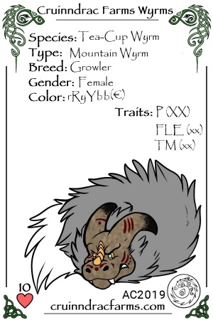 Terracotta card.jpg