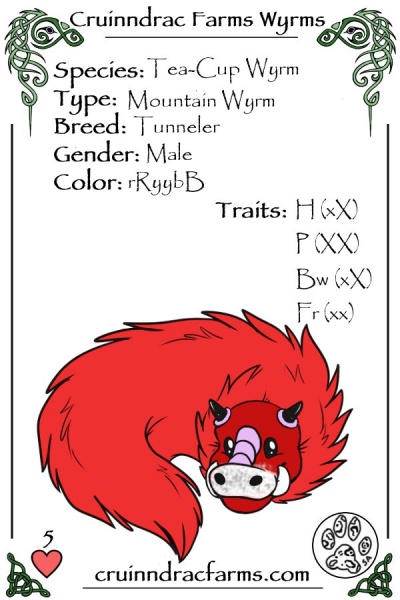 File:Chili card.jpg