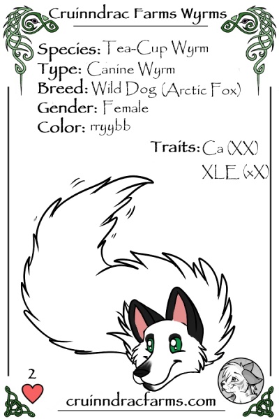 File:Polaris card.jpg