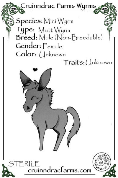 File:Ms. Scarlet card.jpg