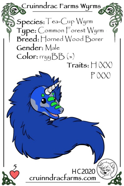 File:Zachary card.jpg