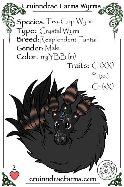 File:Obsidian card.jpg