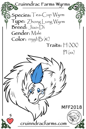 Aethershard card.jpg