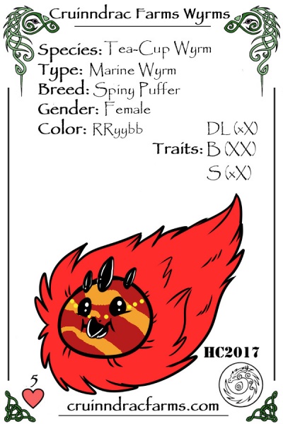 File:Korra card.jpg