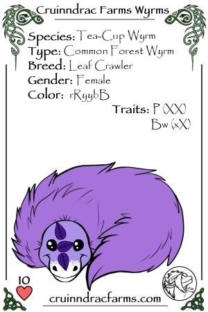 Lavender Rose card.jpg