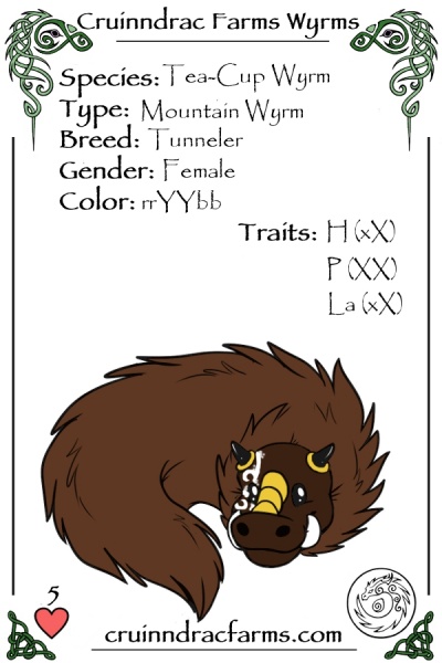 File:MF's Morcilla card.jpg