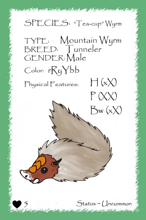 Gullinbursti card.jpg