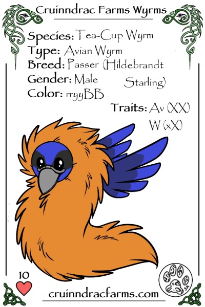 File:Hoatzin card.jpg