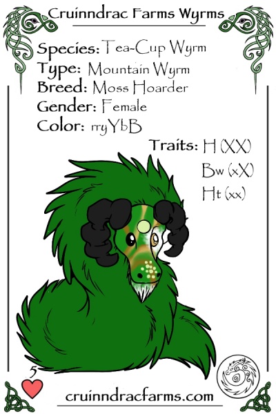 File:Sphagnum card.jpg