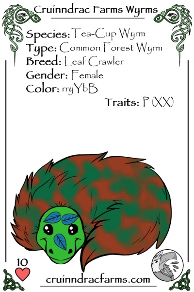 File:Bonzai card.jpg