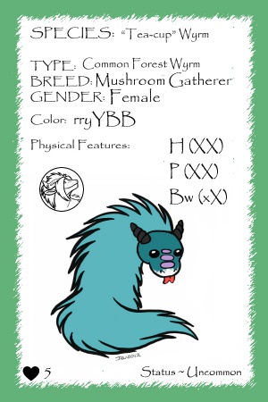 Chanterelle card.jpg