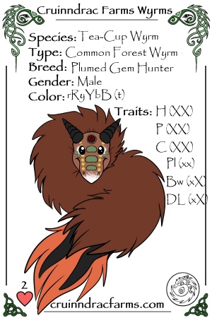 Grumpy card.jpg