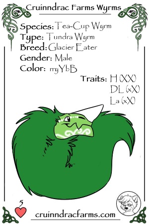Morraine card.jpg