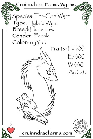 Dandelion. card.jpg