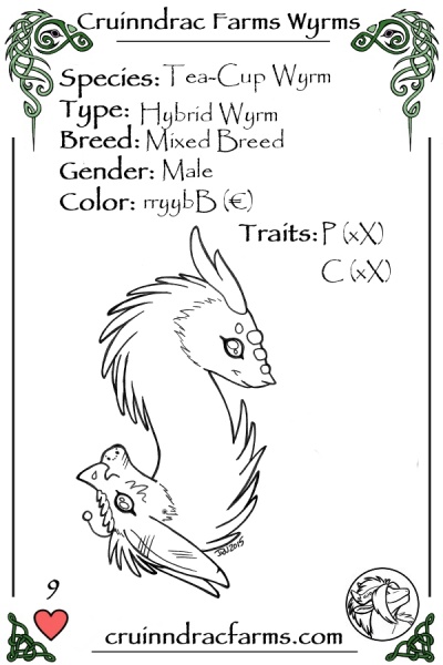 File:Hammerpants card.jpg