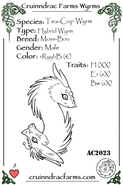 File:Mocha. card.jpg