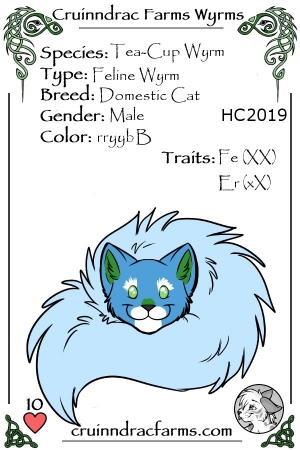Noodles card.jpg