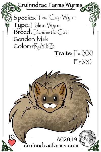 File:Tanuki card.jpg