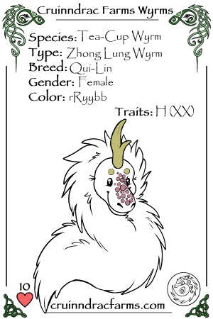 Gidget card.jpg