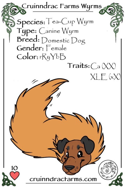 File:Nicoletta card.jpg