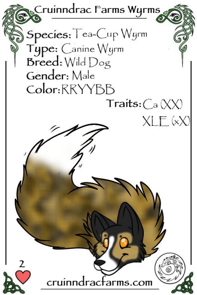 File:The Dogtor card.jpg