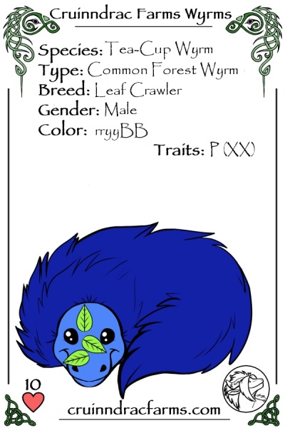 File:Dio card.jpg