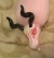 Flamingo icon.jpg
