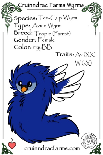 File:Twitter card.jpg