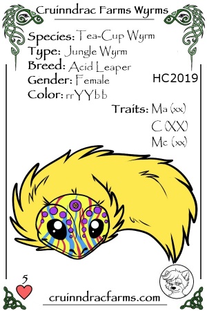 Kalleidei card.jpg
