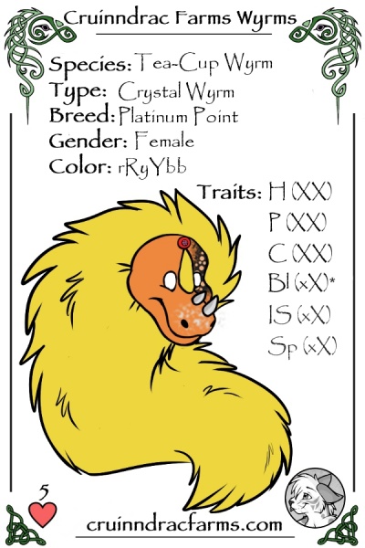 File:Pizzazz card.jpg