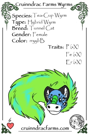 Snurfles card.jpg