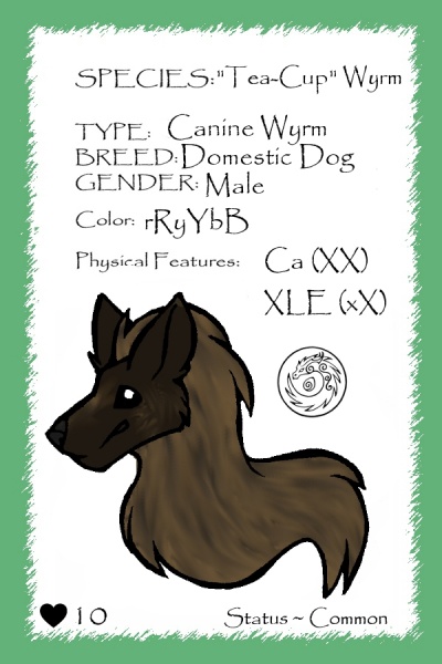 File:Espresso card.jpg