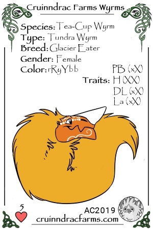 Cheesebeak card.jpg